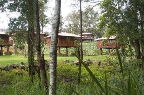 Quinta Das Eiras Santo Antonio da Serra Экстерьер фото