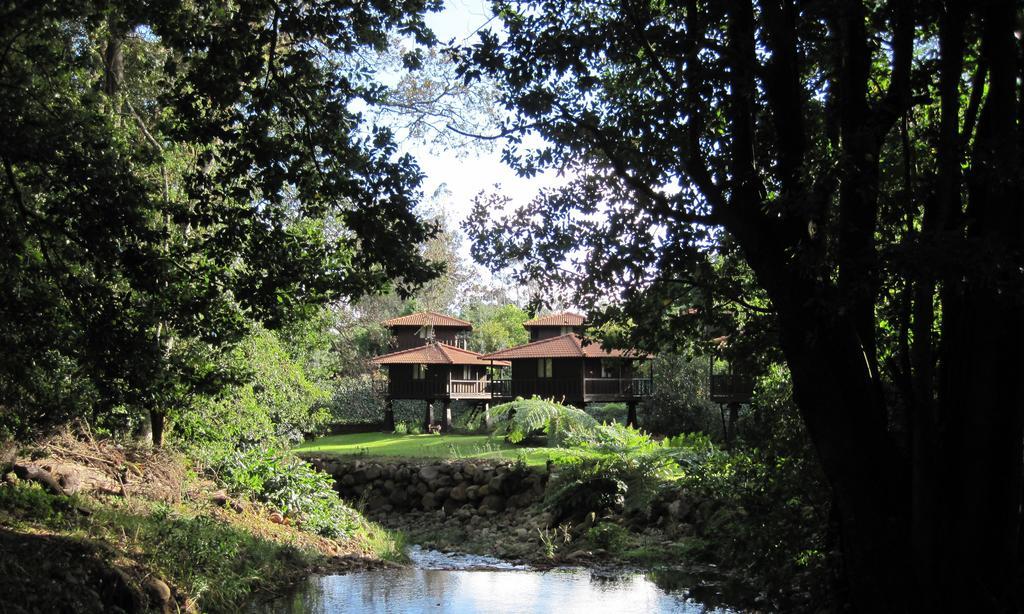 Quinta Das Eiras Santo Antonio da Serra Экстерьер фото