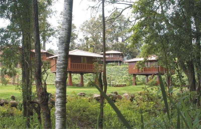 Quinta Das Eiras Santo Antonio da Serra Экстерьер фото