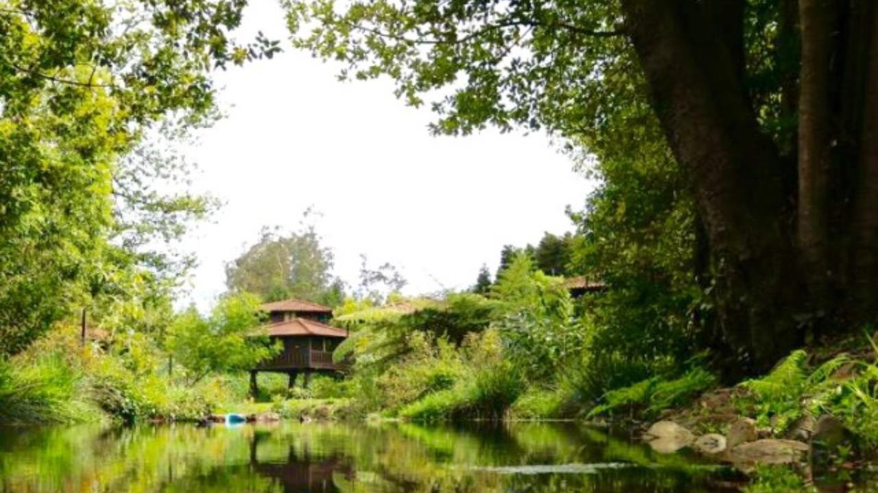 Quinta Das Eiras Santo Antonio da Serra Экстерьер фото