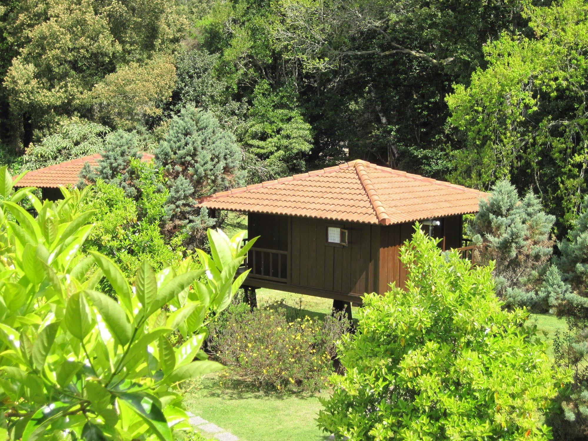 Quinta Das Eiras Santo Antonio da Serra Экстерьер фото